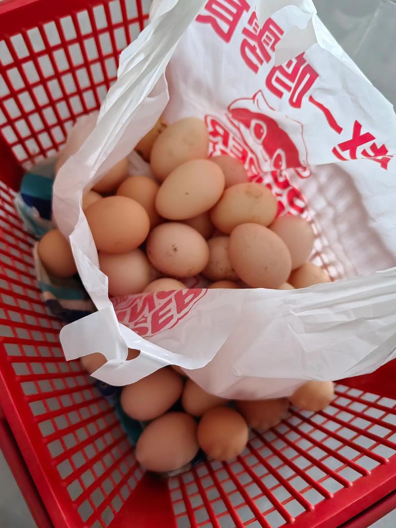 早上送两单鸡蛋,要吃土鸡蛋的看过来,纯五谷杂粮喂养,同城可配